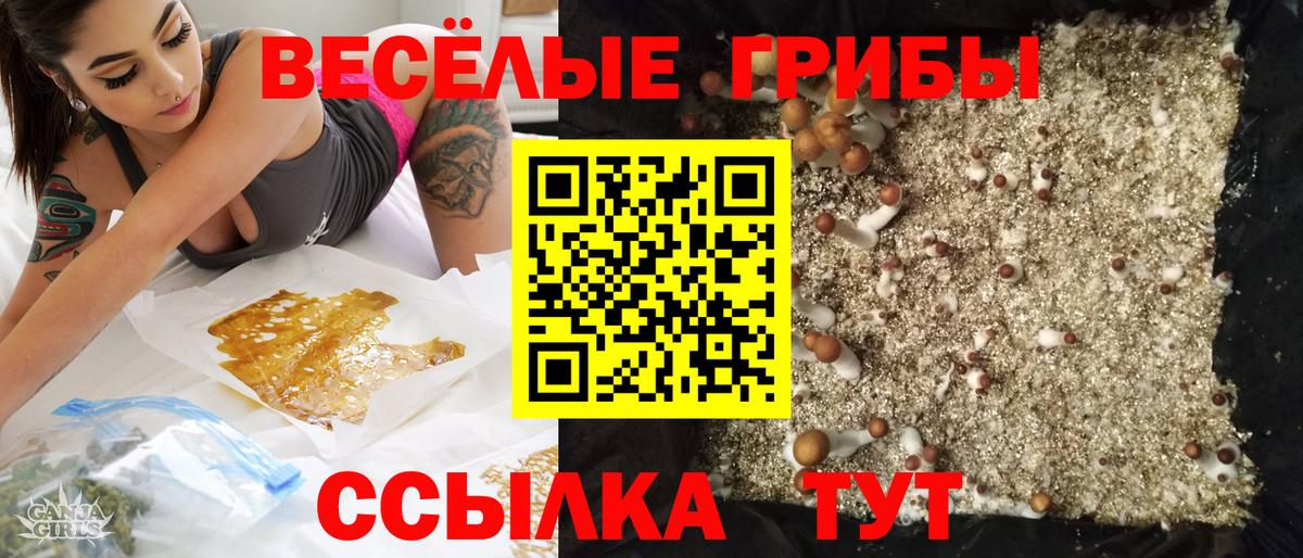 Верхняя Пышма  Псилоцибиновые грибы Magic Shrooms  Вход с VPN 